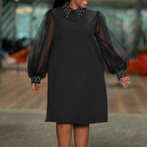 Loose Turn Down Collar Mesh Full Sleeve Straight Knee Length Elegant Business Chic Dress Mssaz Desses
