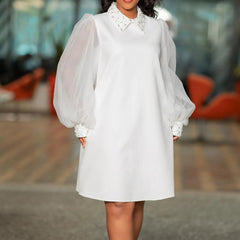 Loose Turn Down Collar Mesh Full Sleeve Straight Knee Length Elegant Business Chic Dress Mssaz Desses
