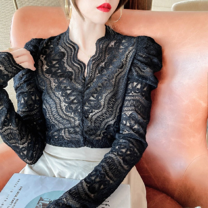 Casual Long Sleeve V Neck Lace Blouse Mssza
