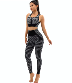 Casual Sleeveless Crop Top High Waist Leggings Seamless Yoga Set Mssza