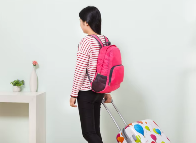 Classic Light Weight Waterproof Foldable zipper Travel Bag Backpack Mssza