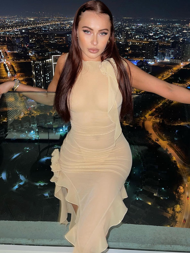 Fringe  Sleeveless Tank Dress Mssaz Desses