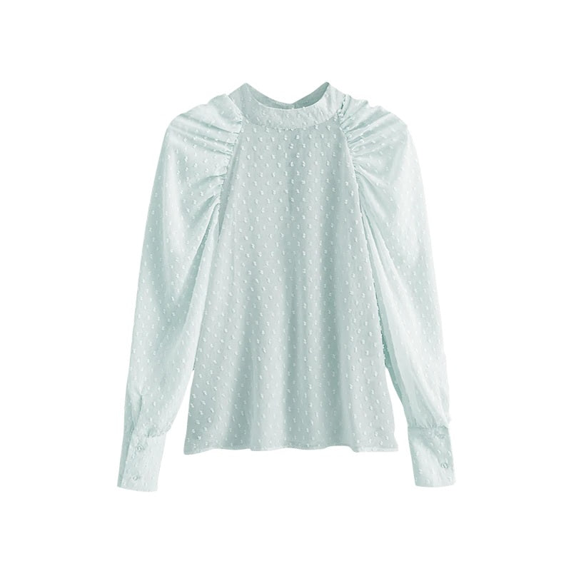 Elegant Dots Embroidery Transparent Blouse Mssza