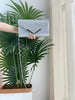 Glitter Shiny Elegant Interior Slot Pocket Party Wedding Clutch Bag Mssza