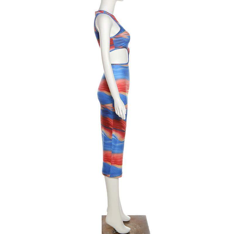 Colorful Print Vacation Long Dresses Cut Out Sleeveless Bodycon Dress Mssaz Desses
