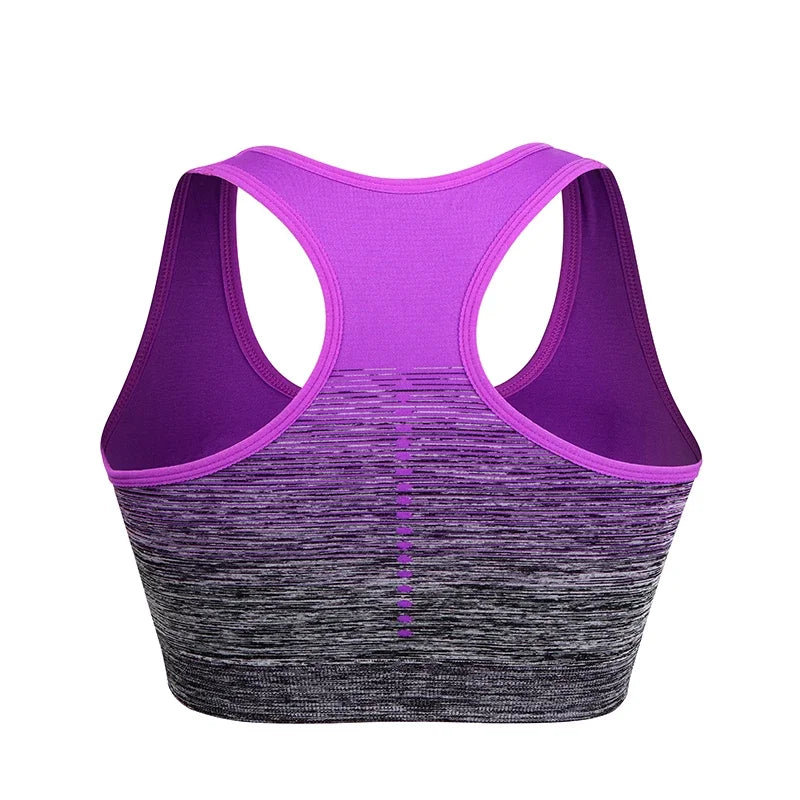 High Stretch Breathable Fitness Padded for Running Yoga Gym Seamless Gradient Sport Bra Mssza