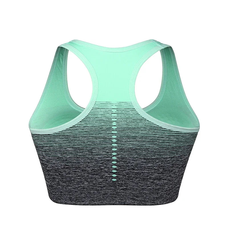High Stretch Breathable Fitness Padded for Running Yoga Gym Seamless Gradient Sport Bra Mssza