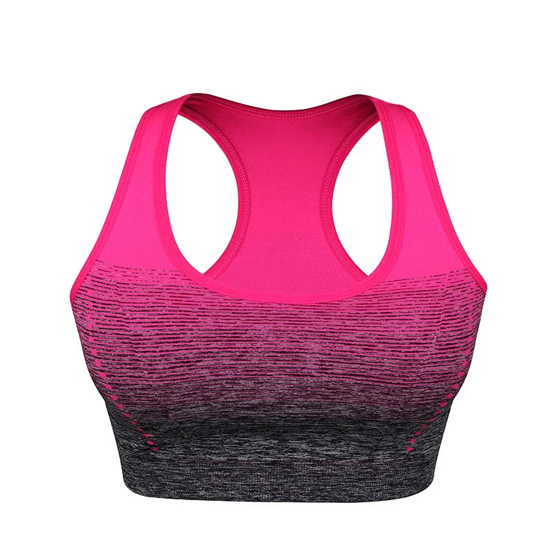 High Stretch Breathable Fitness Padded for Running Yoga Gym Seamless Gradient Sport Bra Mssza