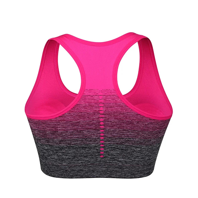 High Stretch Breathable Fitness Padded for Running Yoga Gym Seamless Gradient Sport Bra Mssza