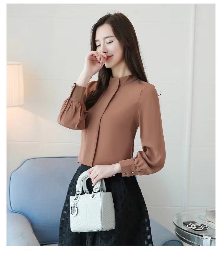 Long Sleeve Casual Chiffon Blouse Shirts Mssza