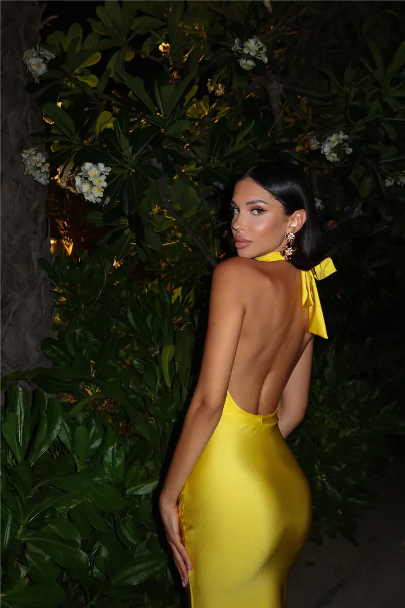 Halter Neck Maxi Dress Mssaz Desses