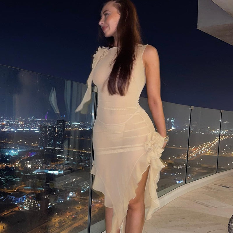 Fringe  Sleeveless Tank Dress Mssaz Desses