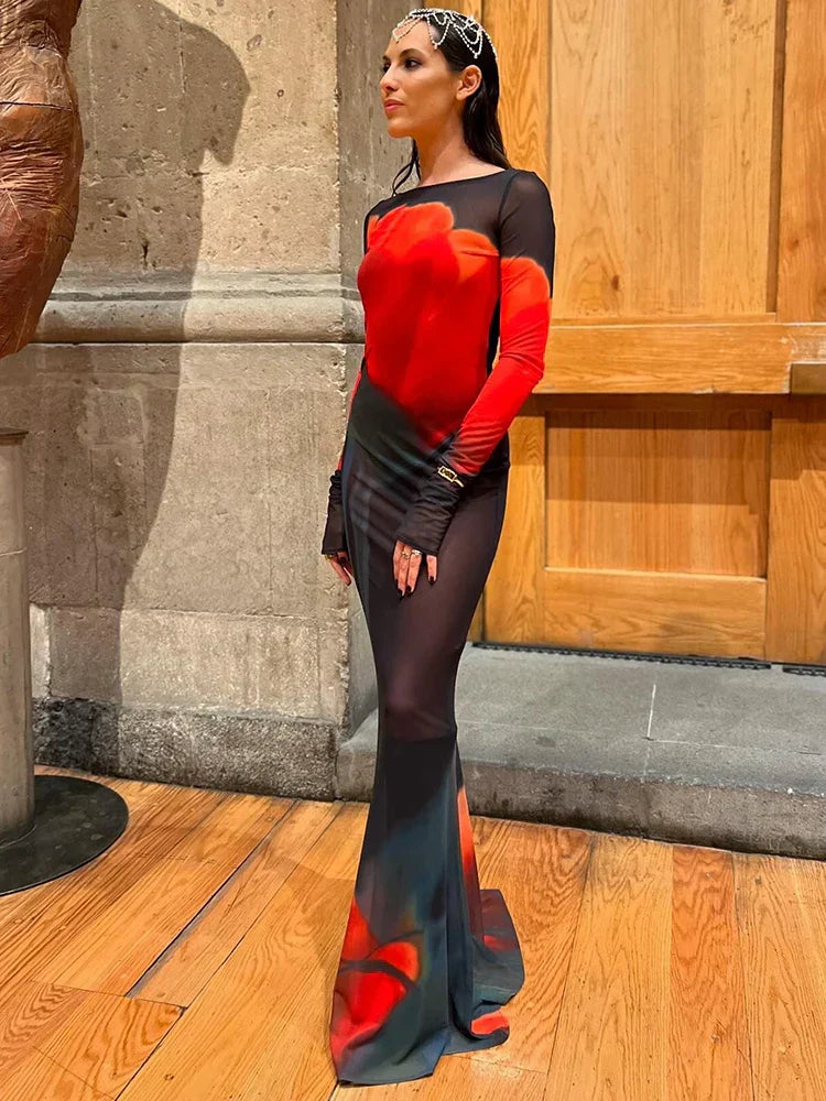 Mesh Sheer Long Sleeve Printed Dress Mssaz Desses