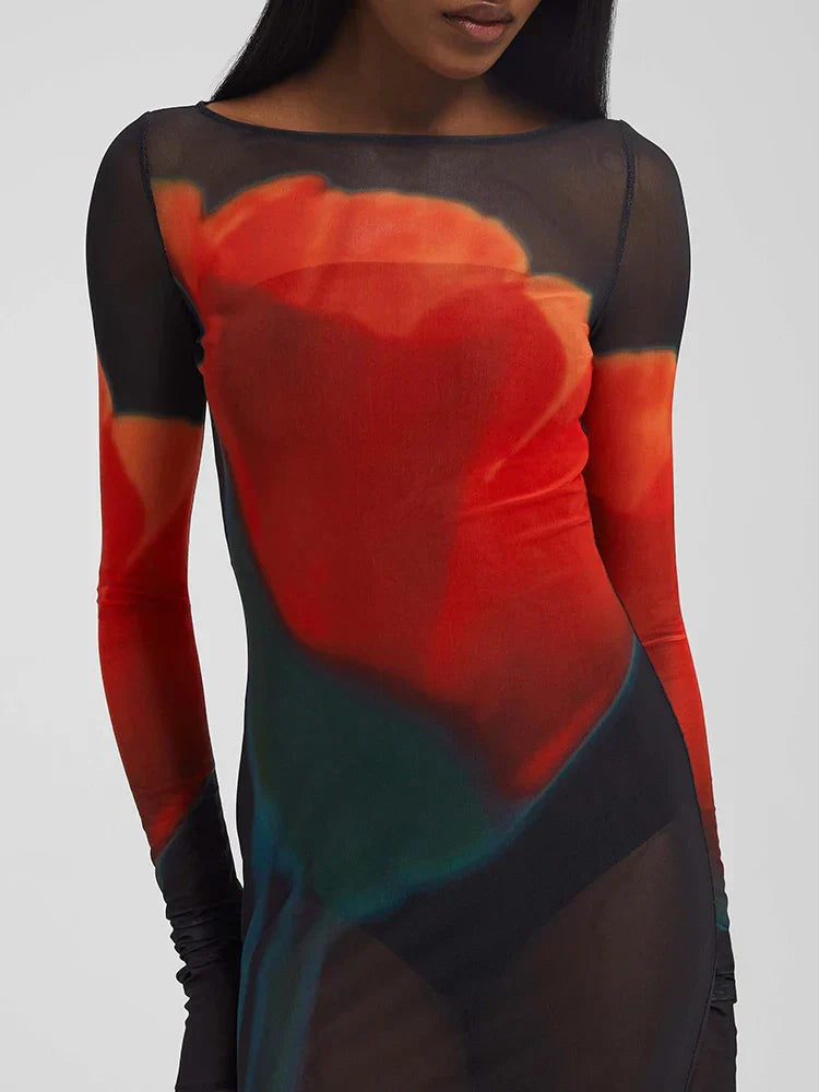 Mesh Sheer Long Sleeve Printed Dress Mssaz Desses