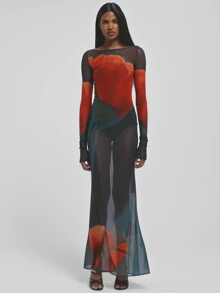 Mesh Sheer Long Sleeve Printed Dress Mssaz Desses