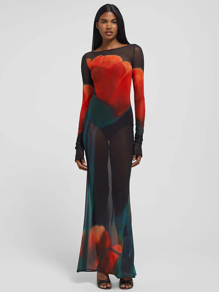 Mesh Sheer Long Sleeve Printed Dress Mssaz Desses