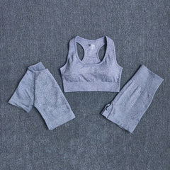Seamless Three Pieces Yoga Set Workout Bra Crop Top Sports Suits Mssza