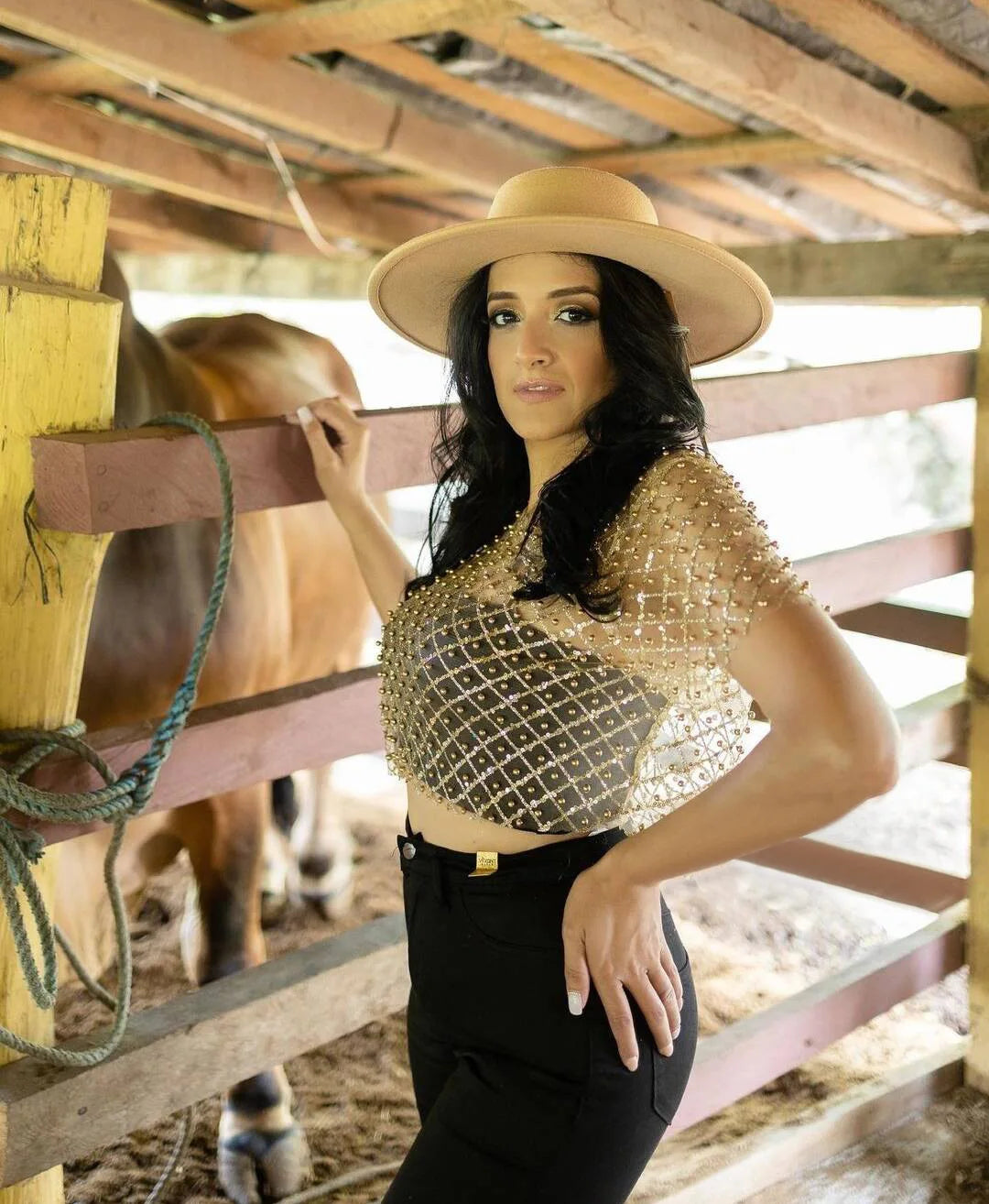 Sequins Glitter T-shirt See Through Sheer Mesh Short Sleeve Tops Transparent Sparkle Crop Tops Mssza