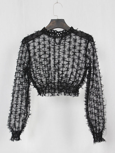 Sheer Tops Long Sleeves Tulle Tops Mssza