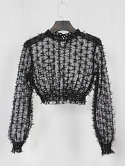 Sheer Tops Long Sleeves Tulle Tops Mssza