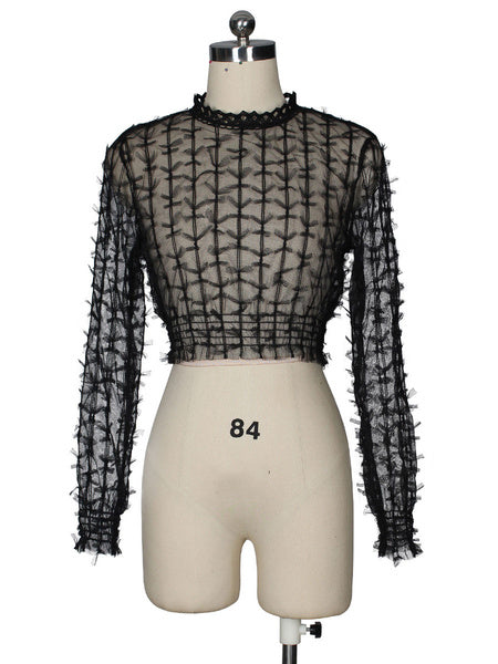 Sheer Tops Long Sleeves Tulle Tops Mssza