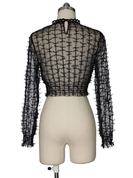 Sheer Tops Long Sleeves Tulle Tops Mssza