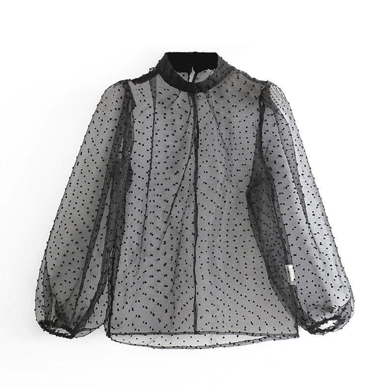 Transparent Dots Embroidery Blouse Mssza