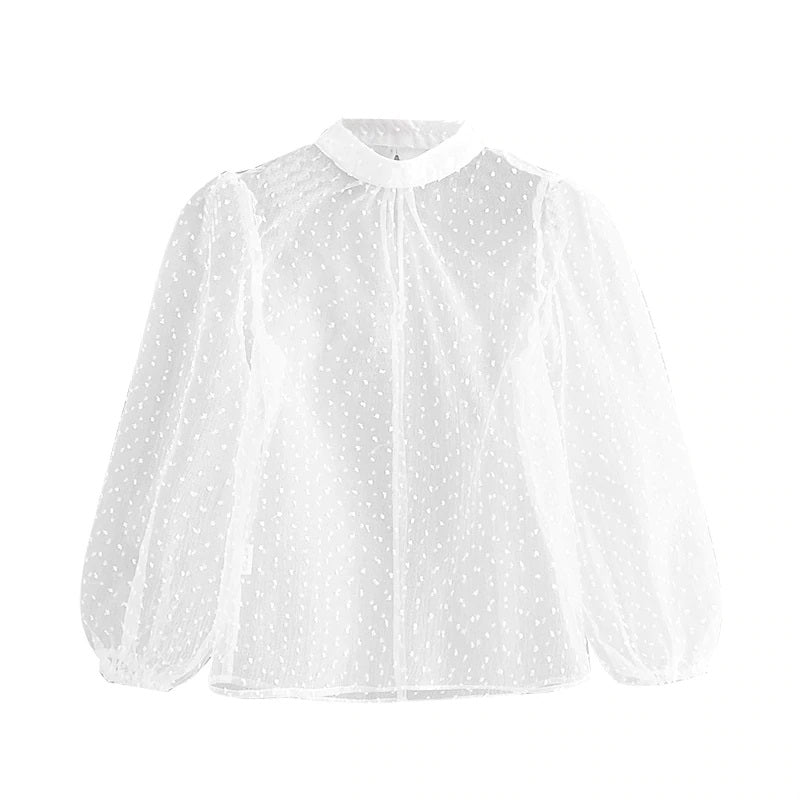 Transparent Dots Embroidery Blouse Mssza