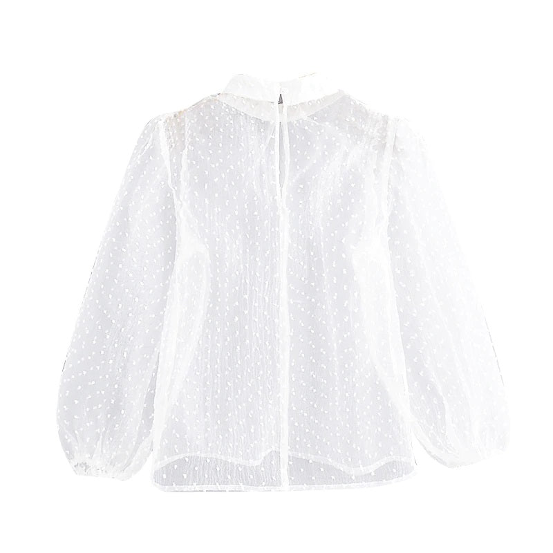 Transparent Dots Embroidery Blouse Mssza