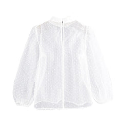 Transparent Dots Embroidery Blouse Mssza