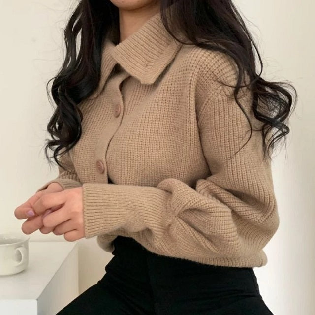 Sweater Turtleneck Single Breasted Cardigan Lapel Long Sleeve Knit Tops Mssza