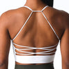Trendy  Breathable Padded Seamless Bralette Sports Bra Sportswear Mssza