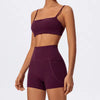 Trendy Quick Drying Yoga Gym Bra And Hight Waisted Short 2 Piece Set Mssza