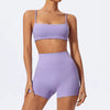 Trendy Quick Drying Yoga Gym Bra And Hight Waisted Short 2 Piece Set Mssza