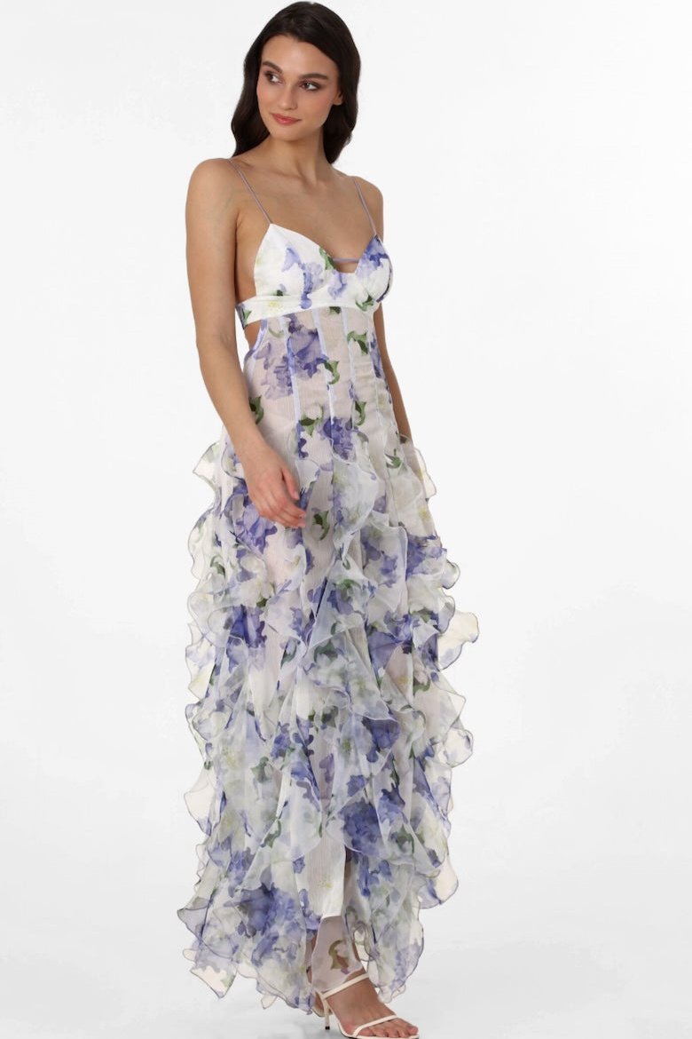 Alexia Ruffle Sheer Maxi Dress Mssaz Desses