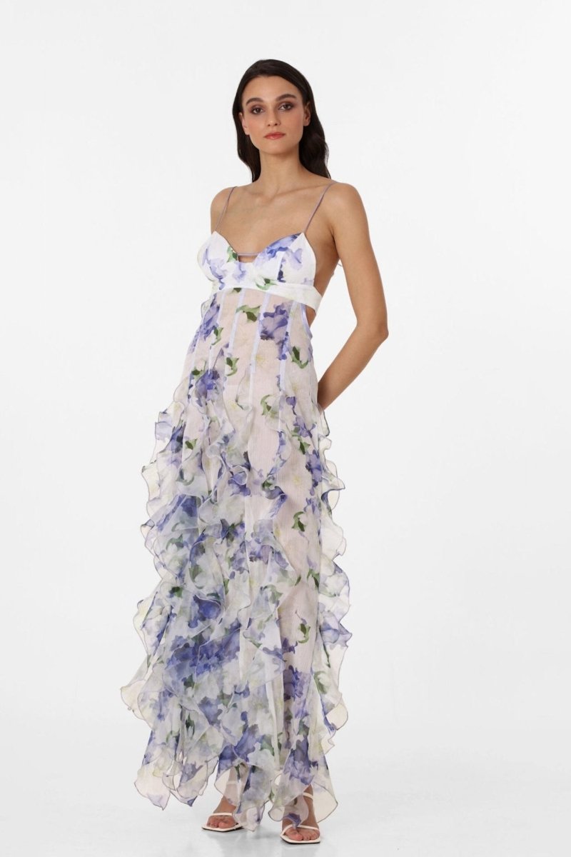 Alexia Ruffle Sheer Maxi Dress Mssaz Desses