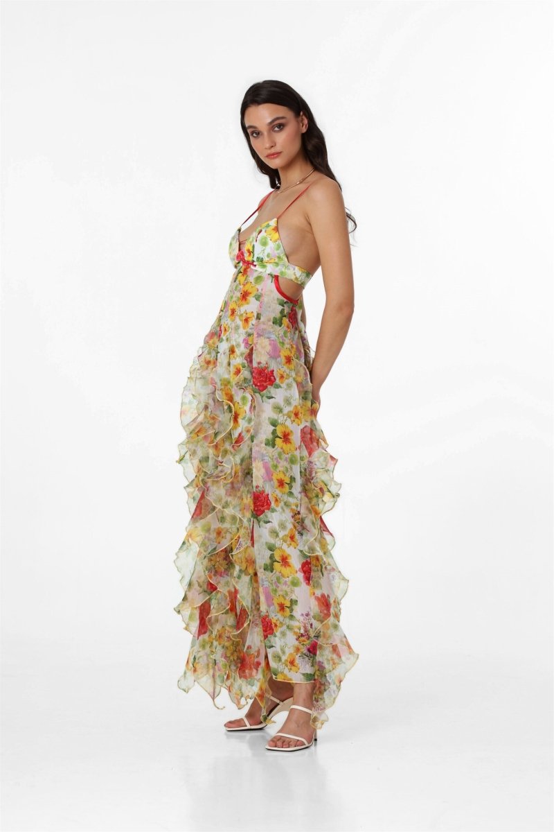 Alexia Ruffle Sheer Maxi Dress Mssaz Desses