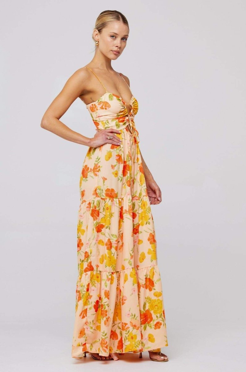 Beverly Printed Cut-out Maxi Slip Dress Mssaz Desses